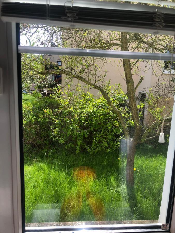Wohlfuehloase Dresden Nickern Lägenhet Exteriör bild
