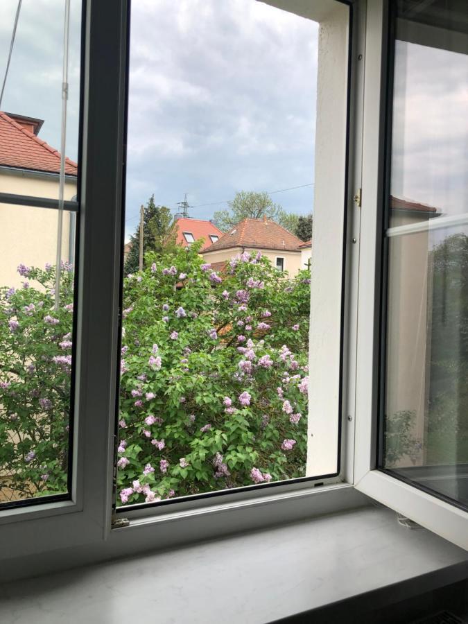 Wohlfuehloase Dresden Nickern Lägenhet Exteriör bild