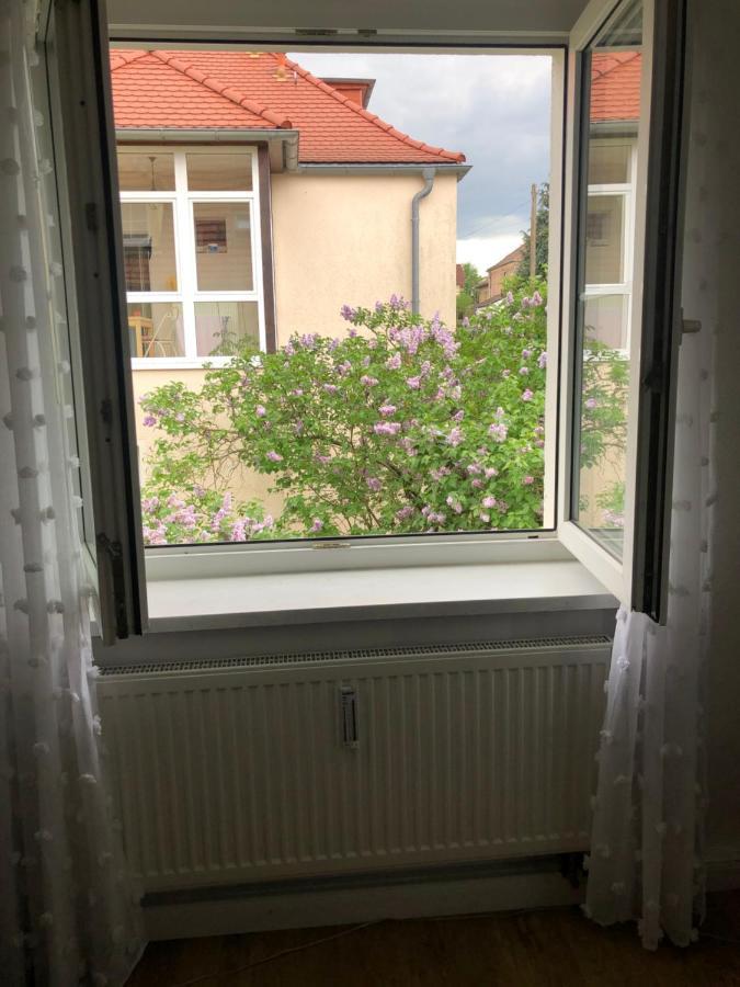 Wohlfuehloase Dresden Nickern Lägenhet Exteriör bild